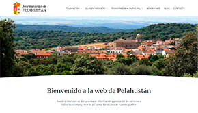Ayuntamiento de Pelahustán